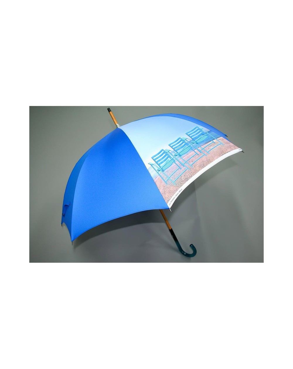 Parapluie canne